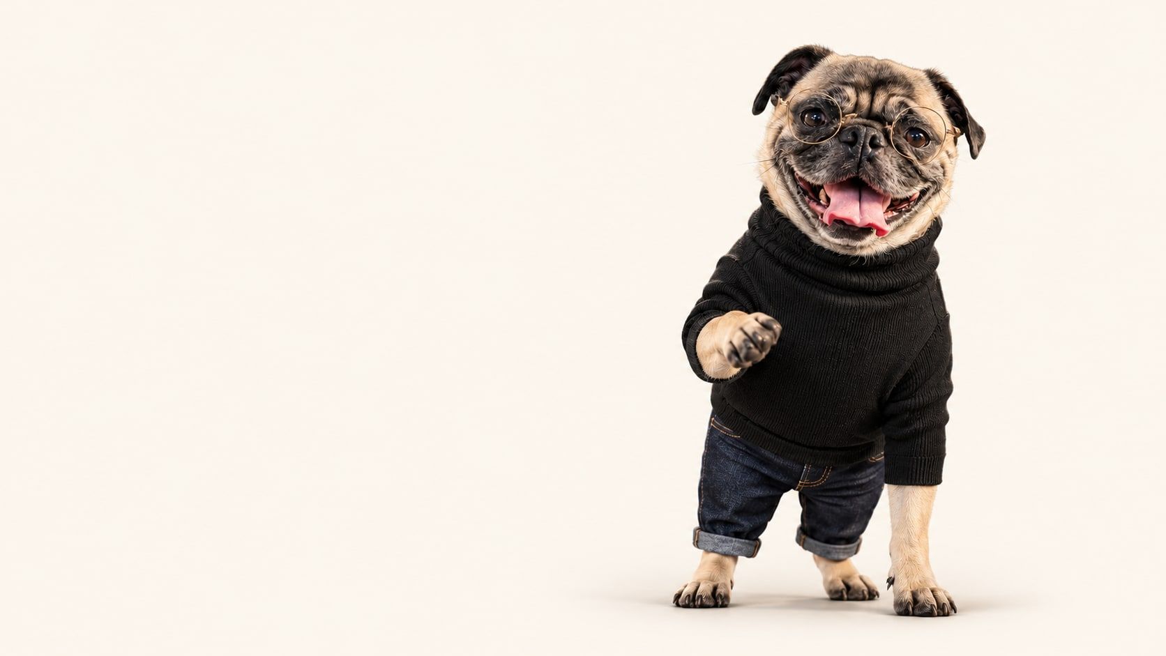 The Pugalarity Labs mascot, a smiling pug in round glasses, a black turtleneck and jeans, standing in a spotlight with one paw raised.